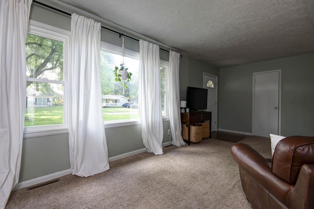 3147 S Ertis Ave, Springfield, MO 65807 - photo 5