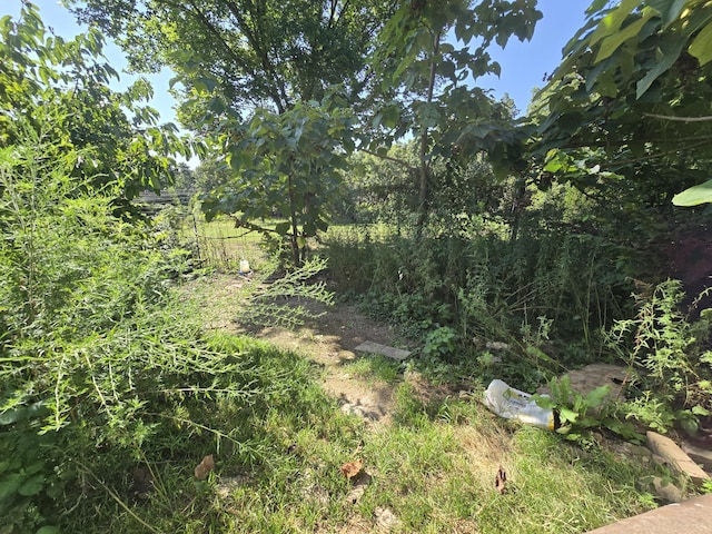 3036 P Hwy, Alton, MO 65606 - photo 25