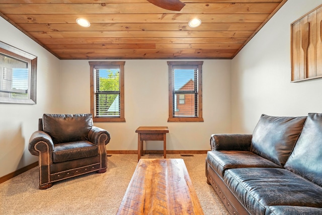26 Cave Ln Unit 7, Indian Point, MO 65616 - photo 48