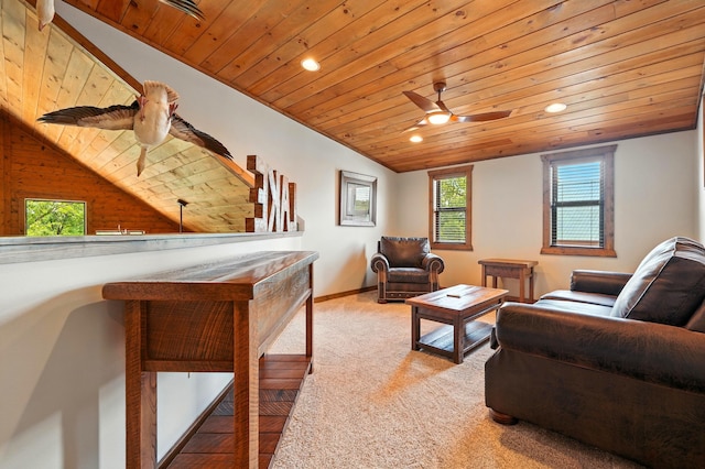 26 Cave Ln Unit 7, Indian Point, MO 65616 - photo 47