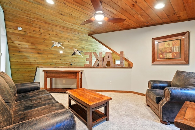 26 Cave Ln Unit 7, Indian Point, MO 65616 - photo 49
