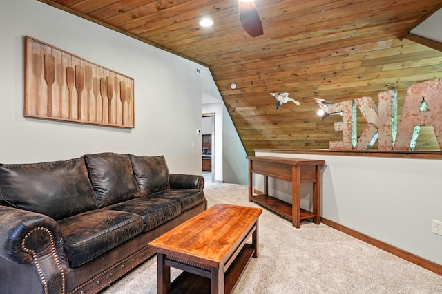 26 Cave Ln Unit 7, Indian Point, MO 65616 - photo 50