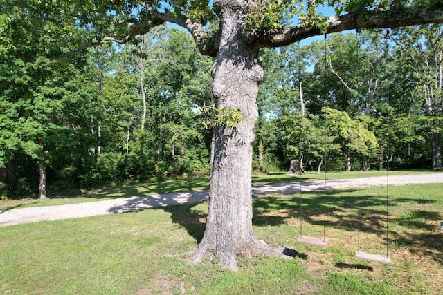 21323 State Highway P, Ava, MO 65608 - photo 29