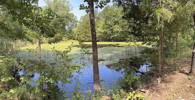 21323 State Highway P, Ava, MO 65608 - photo 38