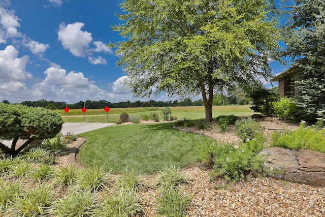 2703 E Chinkapin Ln, Springfield, MO 65804 - photo 3
