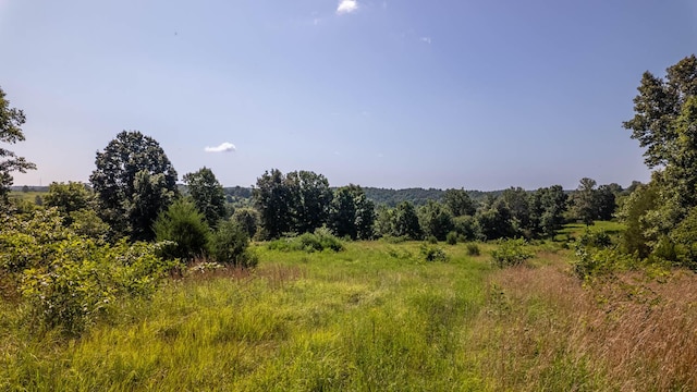 0 England Cemetery Trl, Mammoth Spring, AR 72554 - photo 1