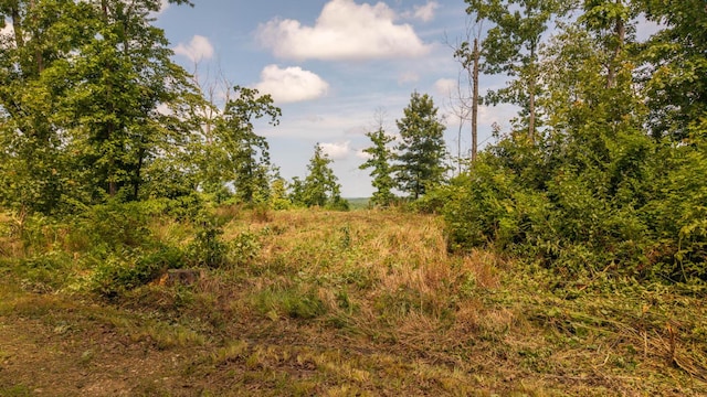 0 Bobcat Ln, Mammoth Spring, AR 72554 - photo 1