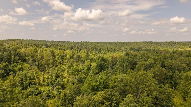 0 Bobcat Ln, Mammoth Spring, AR 72554 - photo 8