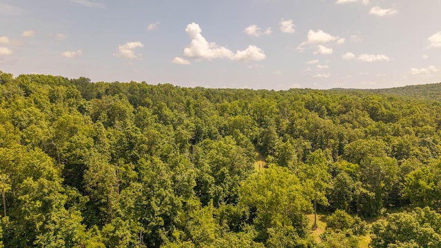 0 Bobcat Ln, Mammoth Spring, AR 72554 - photo 13