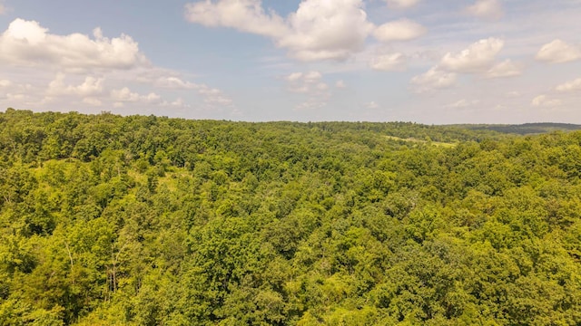 0 Bobcat Ln, Mammoth Spring, AR 72554 - photo 12