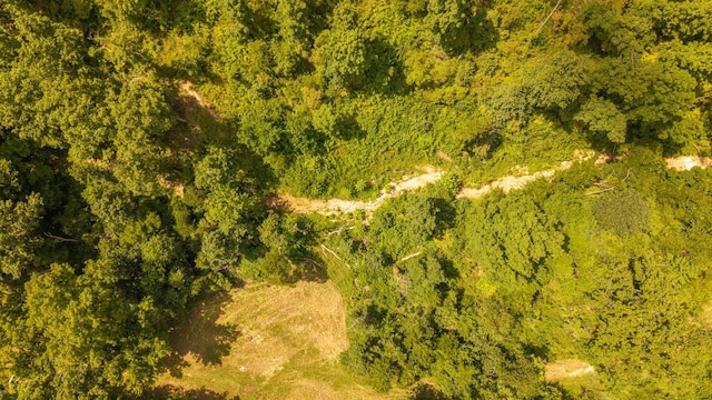 0 Bobcat Ln, Mammoth Spring, AR 72554 - photo 10