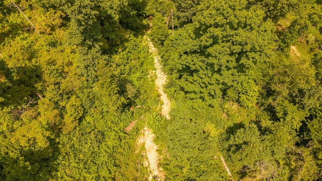 0 Bobcat Ln, Mammoth Spring, AR 72554 - photo 11