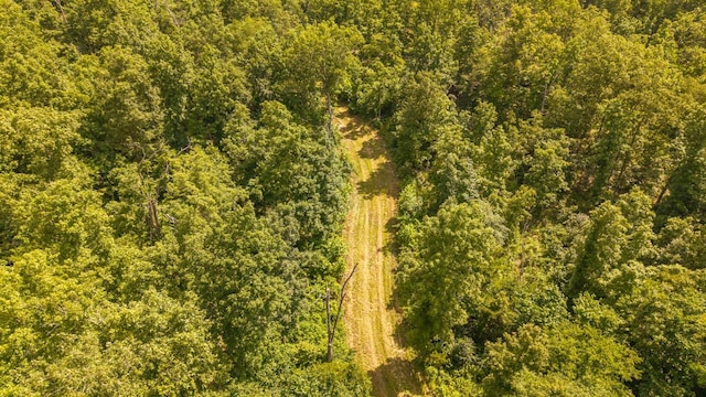 0 Bobcat Ln, Mammoth Spring, AR 72554 - photo 14