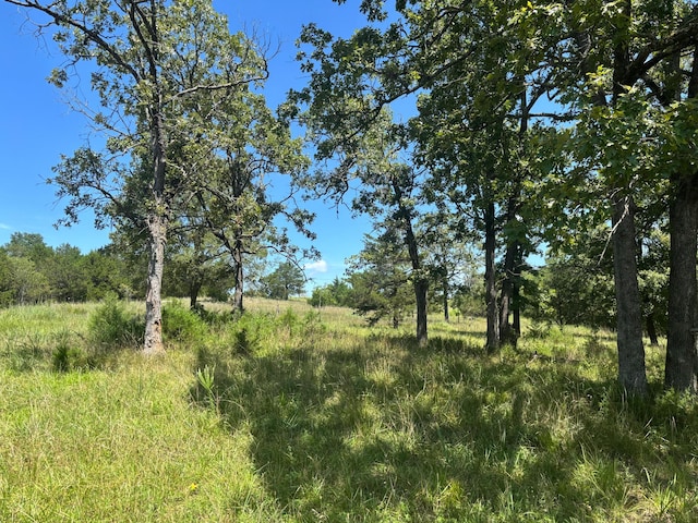 416 County Road 644, Theodosia, MO 65761 - photo 6