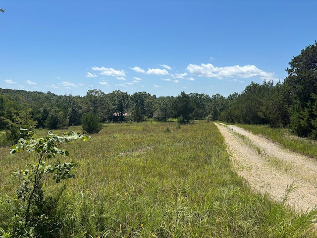 416 County Road 644, Theodosia, MO 65761 - photo 9