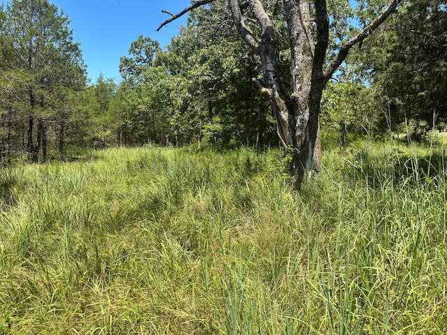 416 County Road 644, Theodosia, MO 65761 - photo 4