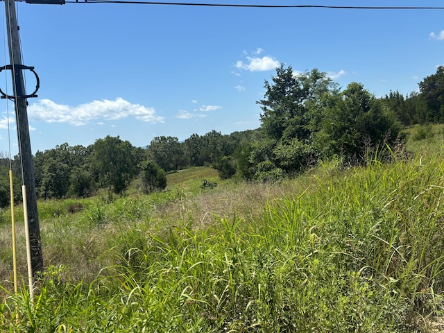 416 County Road 644, Theodosia, MO 65761 - photo 7