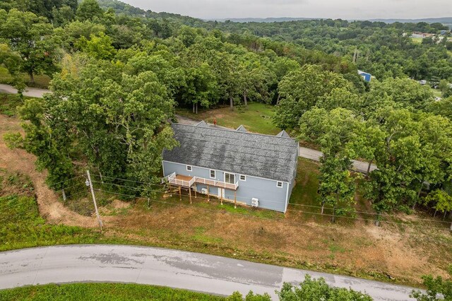 65 Roan Rd, Cape Fair, MO 65624 - photo 49