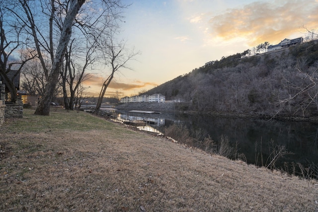 406 Foggy River Rd, Hollister, MO 65672 - photo 9