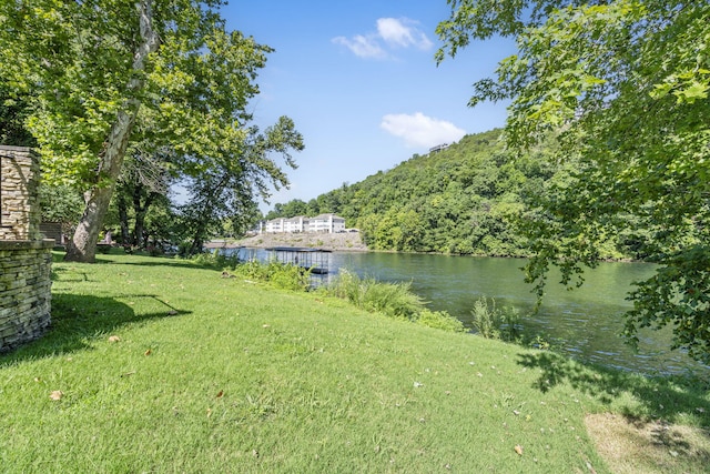 406 Foggy River Rd, Hollister, MO 65672 - photo 46