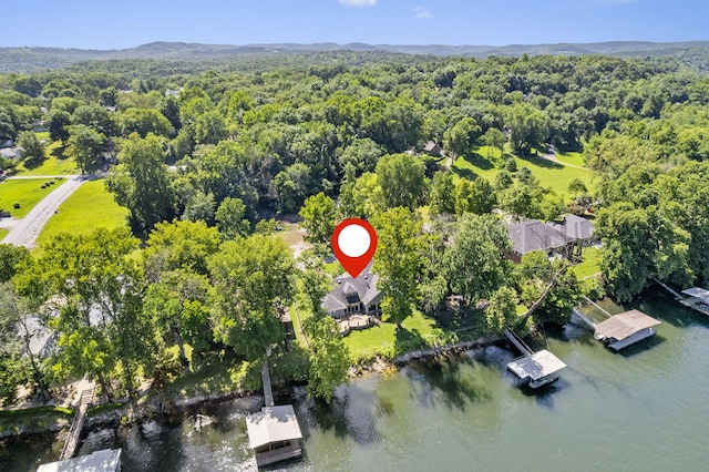 406 Foggy River Rd, Hollister, MO 65672 - photo 50