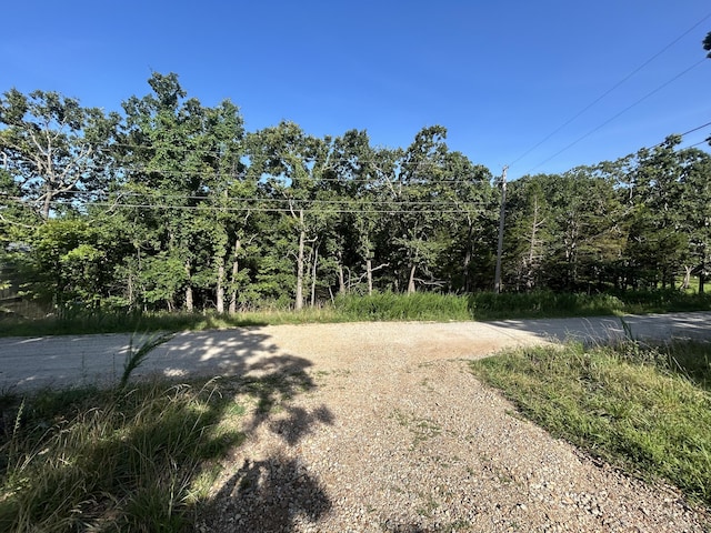000 County Road 277, Pittsburg, MO 65724 - photo 5