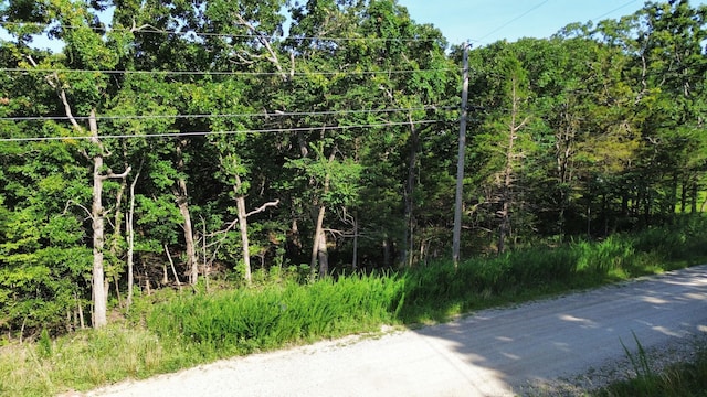 000 County Road 277, Pittsburg, MO 65724 - photo 3