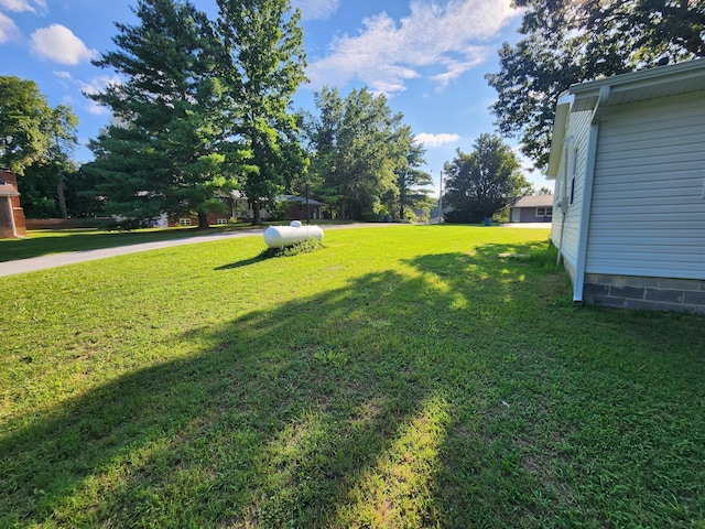 1909 Lael Dr, Neosho, MO 64850 - photo 24