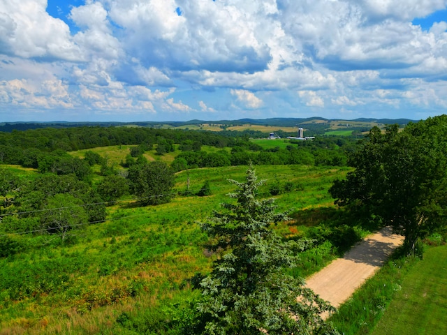 833 County Road 137, Wasola, MO 65773 - photo 45