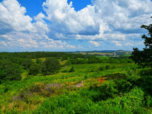 833 County Road 137, Wasola, MO 65773 - photo 42