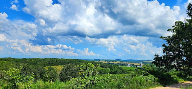 833 County Road 137, Wasola, MO 65773 - photo 26