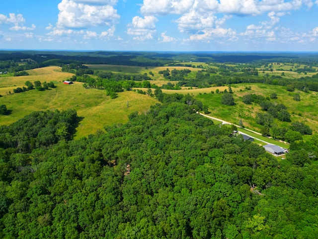 833 County Road 137, Wasola, MO 65773 - photo 51