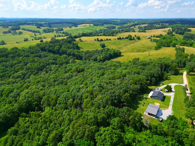 833 County Road 137, Wasola, MO 65773 - photo 48