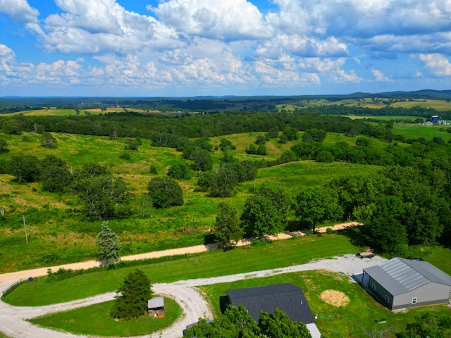 833 County Road 137, Wasola, MO 65773 - photo 47