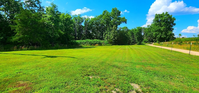 833 County Road 137, Wasola, MO 65773 - photo 33