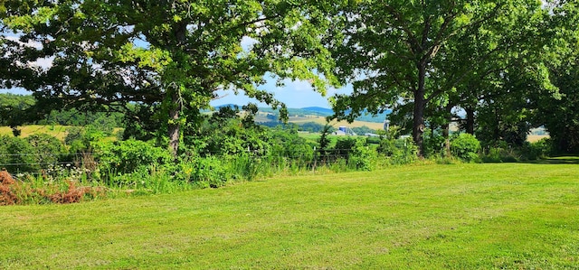 833 County Road 137, Wasola, MO 65773 - photo 25