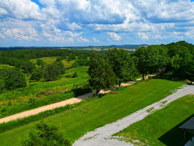 833 County Road 137, Wasola, MO 65773 - photo 46
