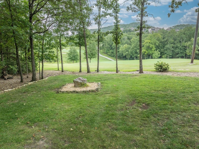 431 Silverwood Cir, Branson West, MO 65737 - photo 4