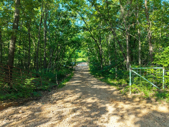 3833 Malone Rd, Norwood, MO 65717 - photo 29