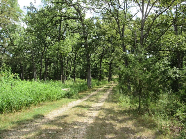 22675 Farm Rd Unit 2012, Crane, MO 65633 - photo 32