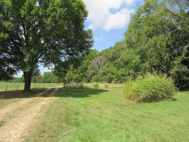 22675 Farm Rd Unit 2012, Crane, MO 65633 - photo 36
