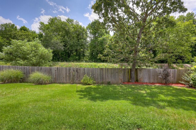 2821 Katie Ln, Joplin, MO 64801 - photo 35