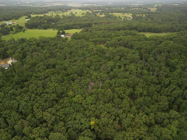 2978 Timberline Ln, Mountain Grove, MO 65711 - photo 31