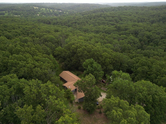 2978 Timberline Ln, Mountain Grove, MO 65711 - photo 37
