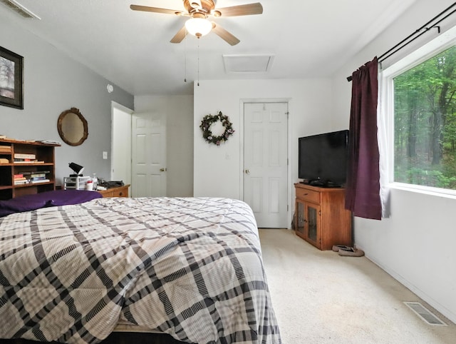 2978 Timberline Ln, Mountain Grove, MO 65711 - photo 23