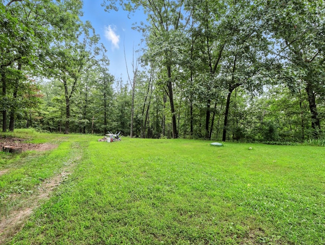 2978 Timberline Ln, Mountain Grove, MO 65711 - photo 11