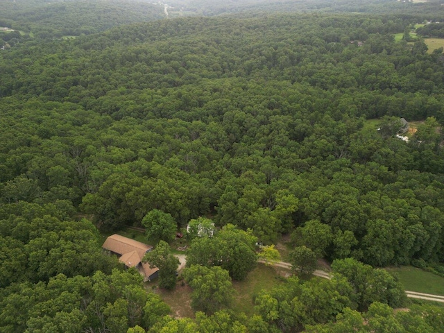 2978 Timberline Ln, Mountain Grove, MO 65711 - photo 35