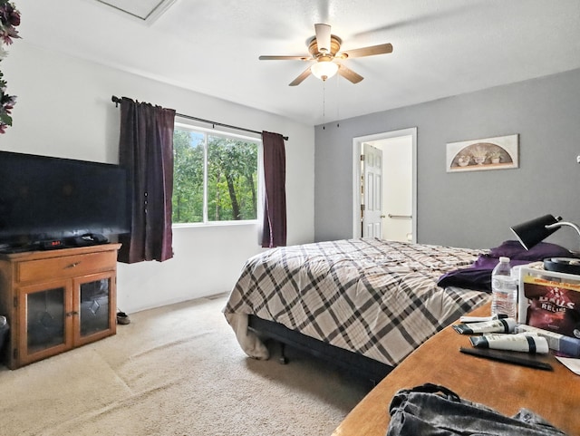 2978 Timberline Ln, Mountain Grove, MO 65711 - photo 24