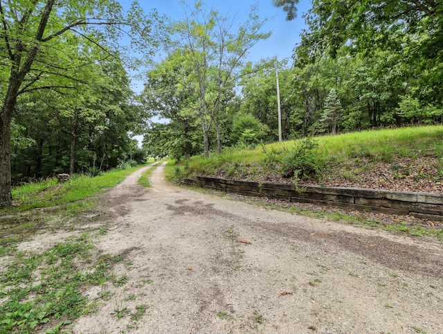 2978 Timberline Ln, Mountain Grove, MO 65711 - photo 10