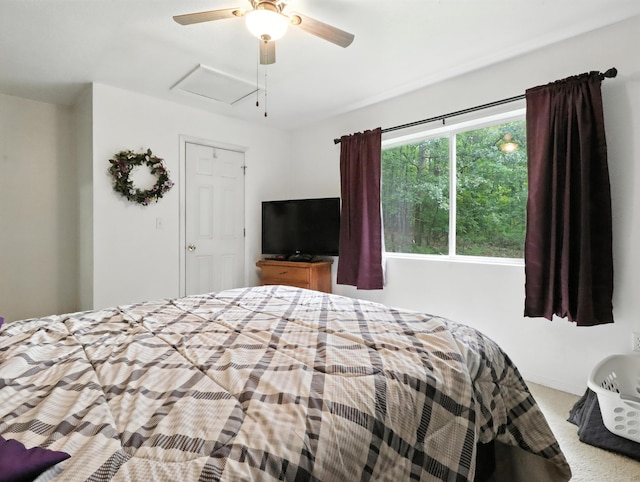 2978 Timberline Ln, Mountain Grove, MO 65711 - photo 22